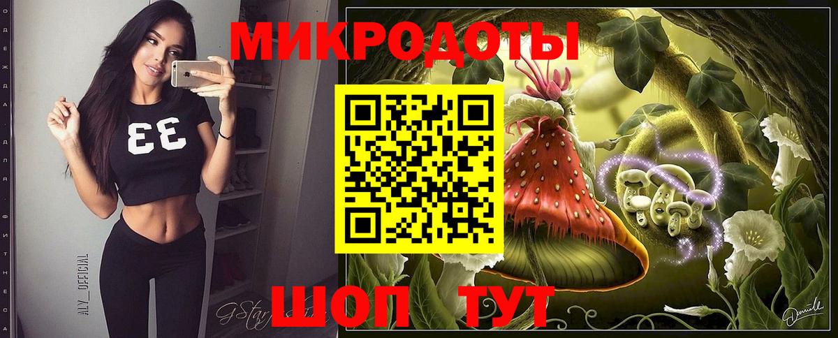 Псилоцибиновые грибы Psilocybine cubensis Москва