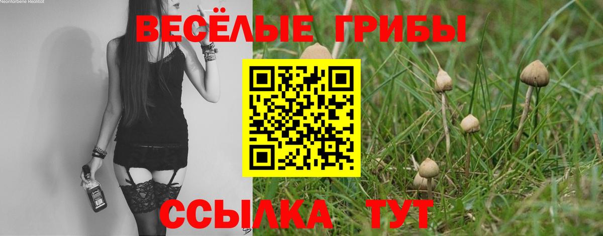 Москва  Галлюциногенные грибы Psilocybe  Вход с VPN  Галлюциногенные грибы Psilocybine cubensis 