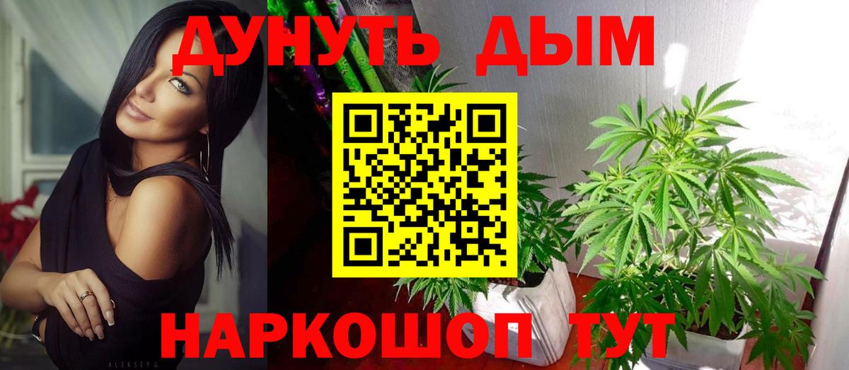 Бошки марихуана SATIVA & INDICA  Вход с VPN  Каннабис конопля  Москва  Бошки марихуана Bruce Banner  Каннабис White Widow 